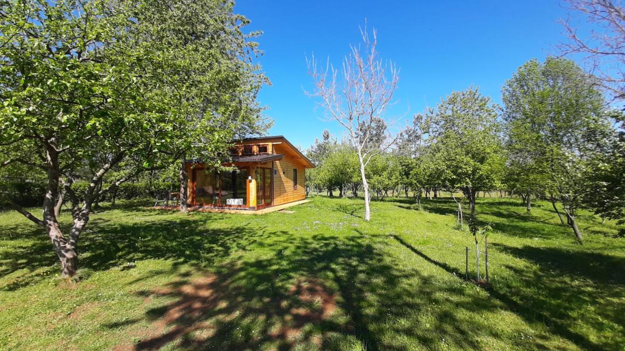 Вилла Tiny House Grabovac Раковица Экстерьер фото