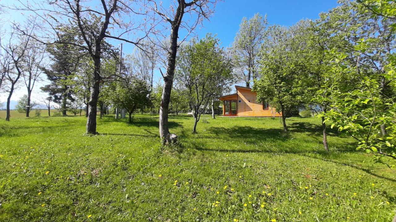 Вилла Tiny House Grabovac Раковица Экстерьер фото