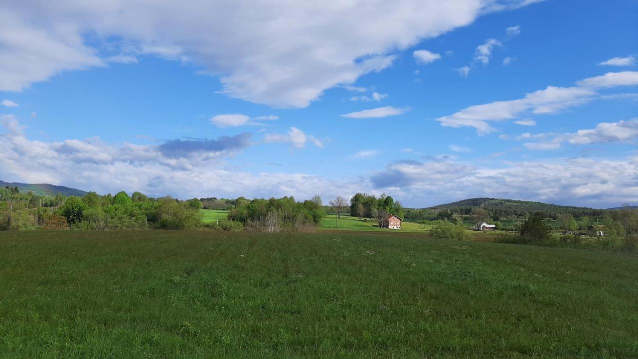 Вилла Tiny House Grabovac Раковица Экстерьер фото