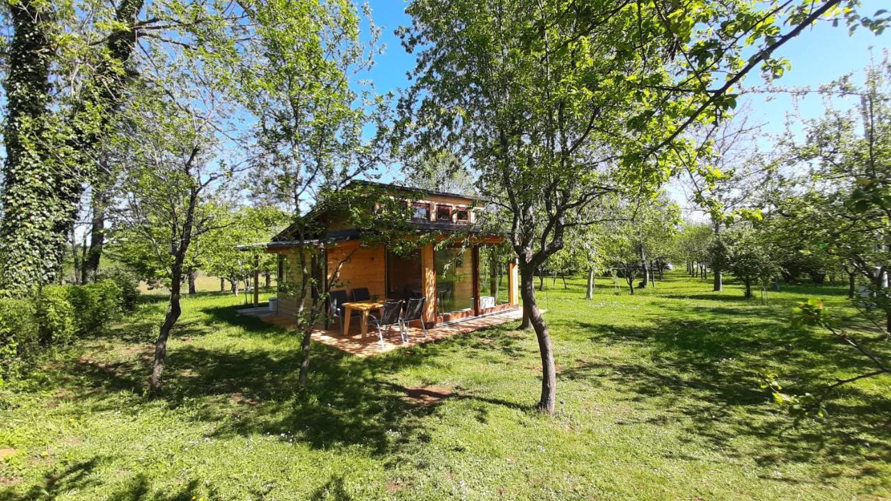 Вилла Tiny House Grabovac Раковица Экстерьер фото